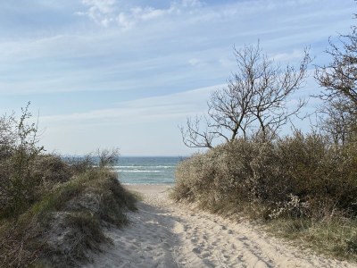 Holiday house Kranichblick - Freiheit - Environment photo 37