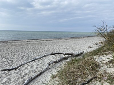 Holiday house Kranichblick - Freiheit - Environment photo 38