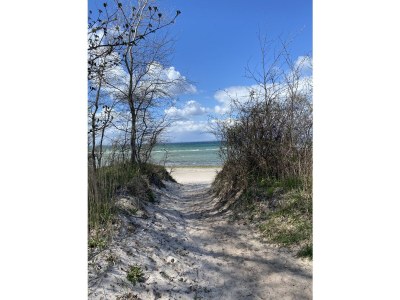 Holiday house Kranichblick - Freiheit - Environment photo 39