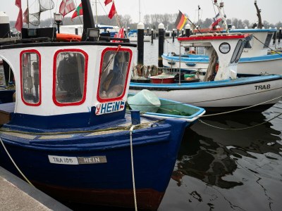 Holiday house Kranichblick - Freiheit - Environment photo 40