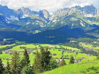 Holiday room Doppelzimmer Morgensonne oder ruhige Waldlage - Outdoor photo 24