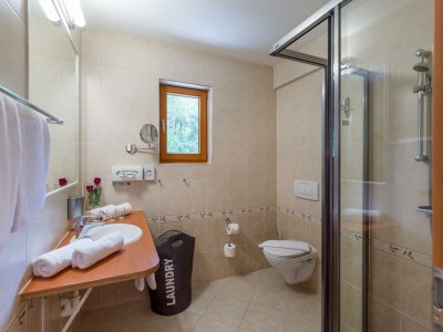 Apartment Superior Apartment Gartenhotel Rosenhof 2-6 Pers. - Features photo 73