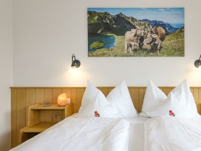 Apartment Superior Apartment Gartenhotel Rosenhof 2-6 Pers. - Features photo 79