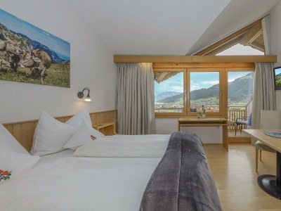 Apartment Superior Apartment Gartenhotel Rosenhof 2-6 Pers. - Features photo 80