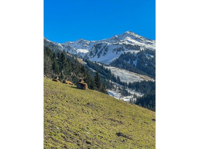 Apartment Deluxe Apartment im Gartenhotel Rosenhof - Outdoor photo 43