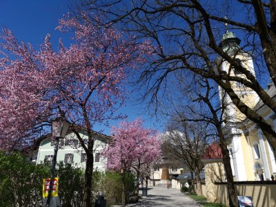 Apartment Suite Wilder Kaiser - Features photo 20