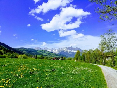 Apartment Suite Wilder Kaiser - Features photo 21