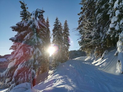 Apartment Suite Wilder Kaiser - Features photo 22