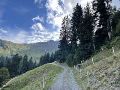 Apartment Suite Wilder Kaiser - Features photo 23