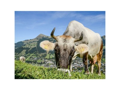 Apartment Hahnenkamm mit Blick Wilder Kaiser - 1. OG - Outdoor photo 15