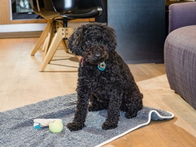 Apartment Kitzbüheler Horn - Erdgeschoß - Features photo 45