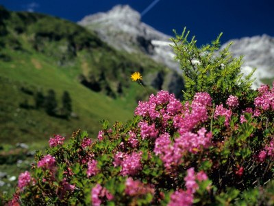 Holiday room Doppelzimmer mit Schlafcouch  Dusche, WC - Outdoor photo 14
