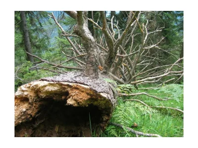 Apartment Bergluft-Appartement - 2 Schlafräume, 2 Bäder - Outdoor photo 10