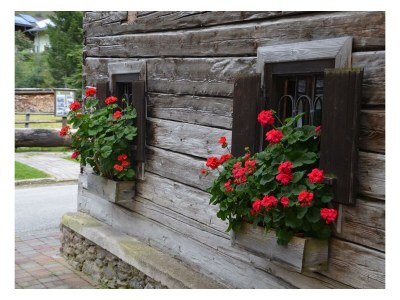 Holiday room Doppelzimmer mit Dusche, WC - Outdoor photo 11