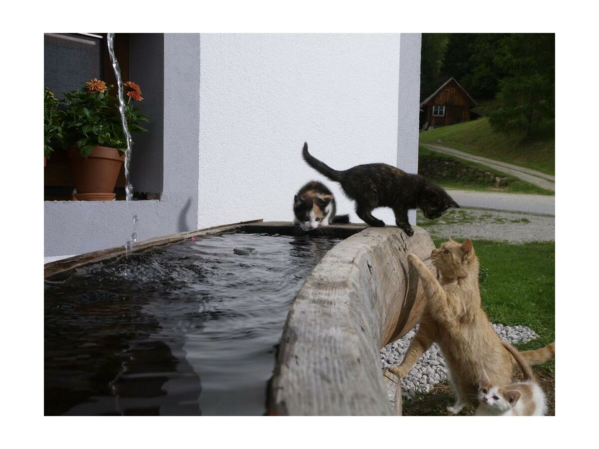 Apartment Appartement FICHTE - Outdoor photo 2