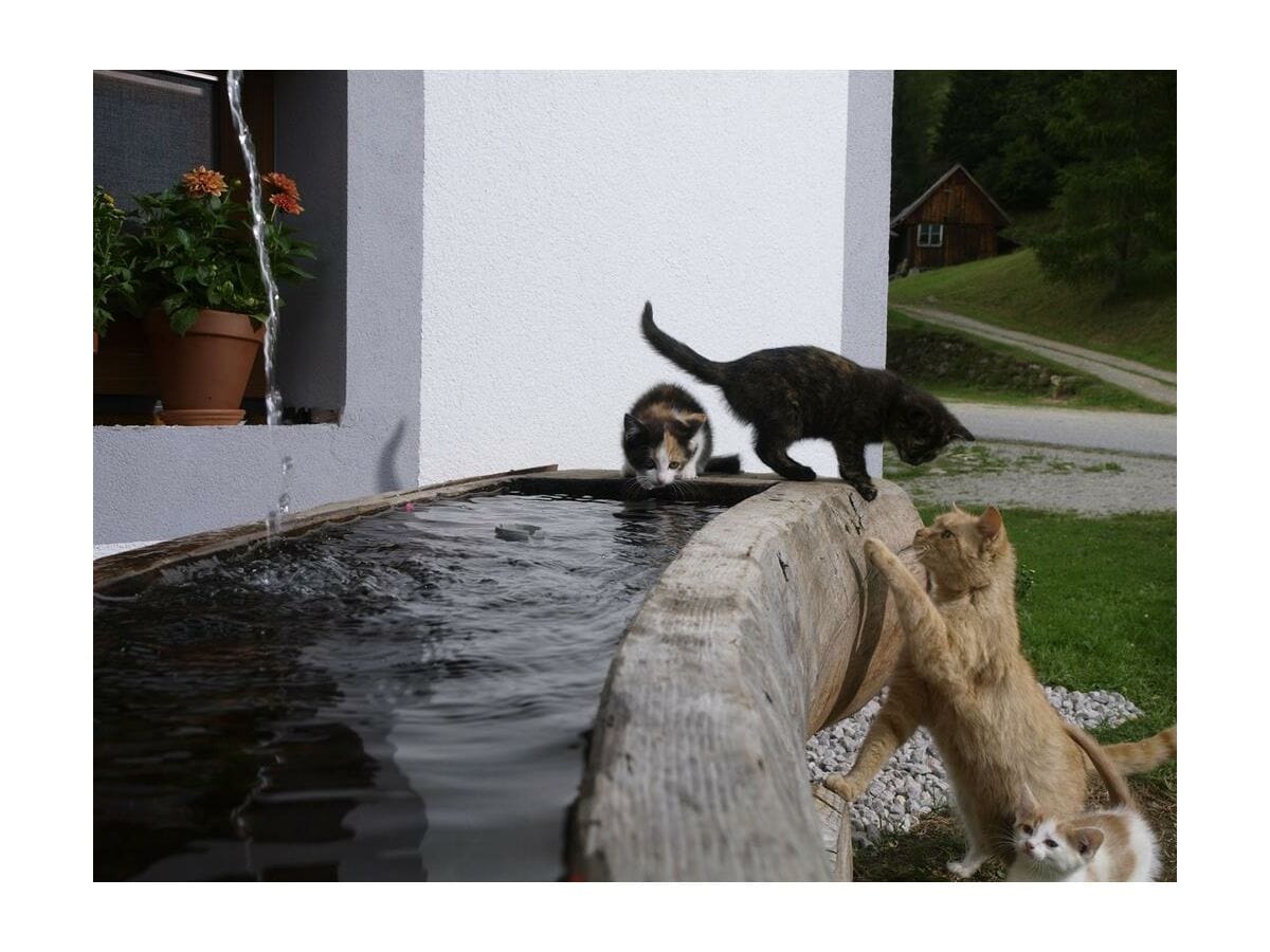 Apartment Appartement ZIRBE - Outdoor photo 2