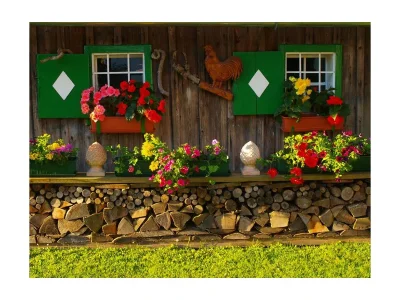 Apartment Apartment/Wohn-Schlafraum/Dusche, WC in Irdning-Donnersbachtal - Apartment