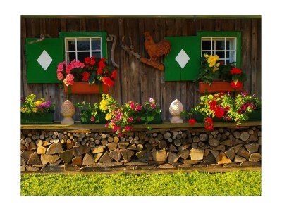 Apartment Apartment/Wohn-Schlafraum/Dusche, WC - Outdoor photo 7