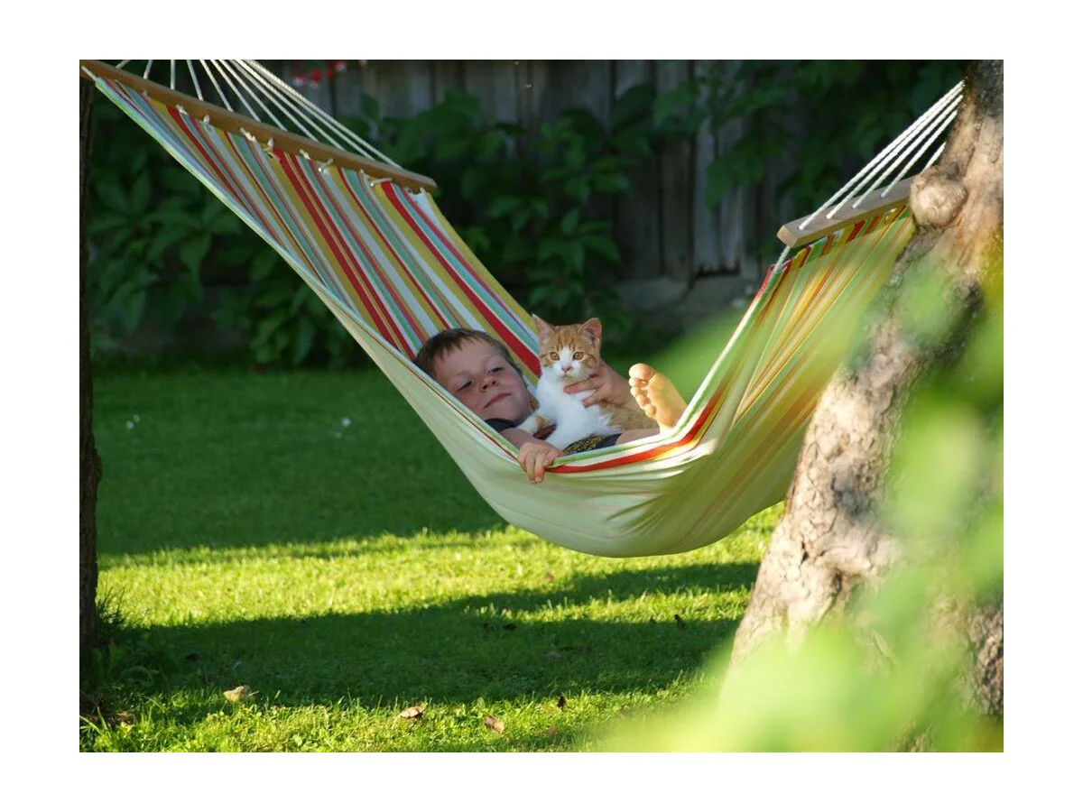 Apartment Ferienhaus/3 Schlafräume/ Dusche, WC - Outdoor photo 5