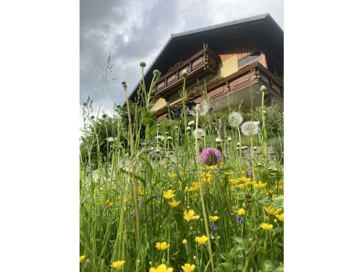 Apartment Ferienwohnung mit 3 Schlafräumen - Outdoor photo 2