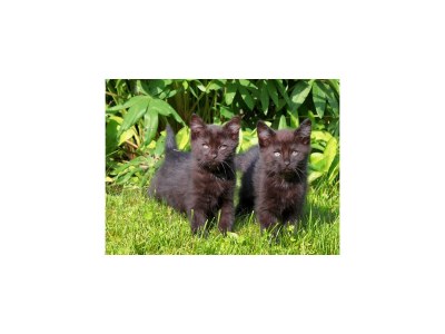 Holiday room Auf geht's zum Pistenspaß, Zimmer "Komfort" - Outdoor photo 49