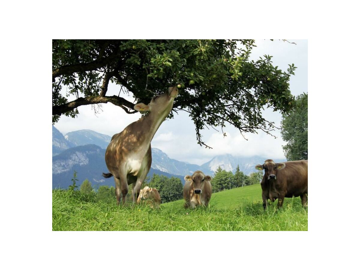 Holiday room Therme, Wohlfühlzimmer "Komfort Plus" - Outdoor photo 5