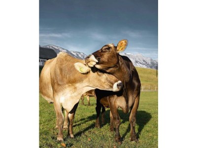 Holiday room Therme, Wohlfühlzimmer "Komfort Plus" - Outdoor photo 32