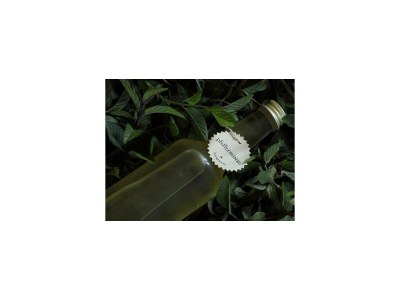 Holiday room Therme, Wohlfühlzimmer "Komfort Plus" - Outdoor photo 35