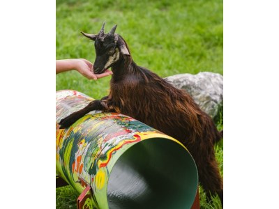 Holiday room Therme, Wohlfühlzimmer "Komfort Plus" - Outdoor photo 50