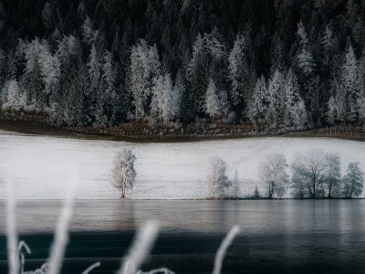 Holiday room Therme, Wohlfühlzimmer "Komfort Plus" - Outdoor photo 68