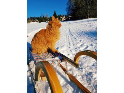 Holiday room Therme, Wohlfühlzimmer "Komfort Plus" - Outdoor photo 69
