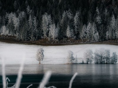 Holiday room Spatzensom, Wohlfühlzimmer "Komfort Plus" - Outdoor photo 18