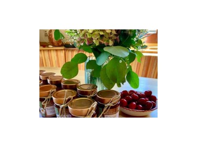 Holiday room Spatzensom, Wohlfühlzimmer "Komfort Plus" - Outdoor photo 34