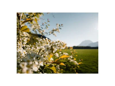 Holiday room Wohlfühlzimmer "Komfort Plus" - Outdoor photo 44