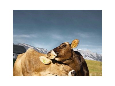 Holiday room Herbstpur, Wohlfühlzimmer "Komfort Plus" - Outdoor photo 17