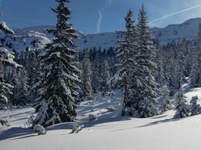 Apartment Appartement/Fewo, Dusche, WC, 1 Schlafraum - Outdoor photo 16