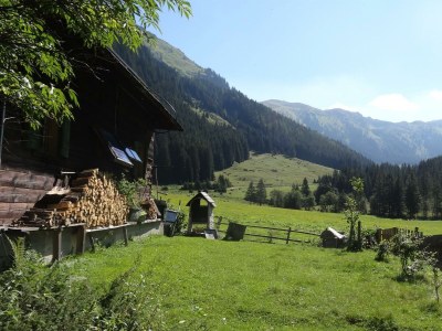 Apartment Appartement/Fewo, Dusche, WC, 1 Schlafraum - Outdoor photo 23