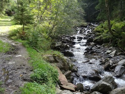 Apartment Appartement/Fewo, Dusche, WC, 1 Schlafraum - Outdoor photo 24