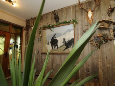 Holiday room Zirbensuite Deluxe - Outdoor photo 9