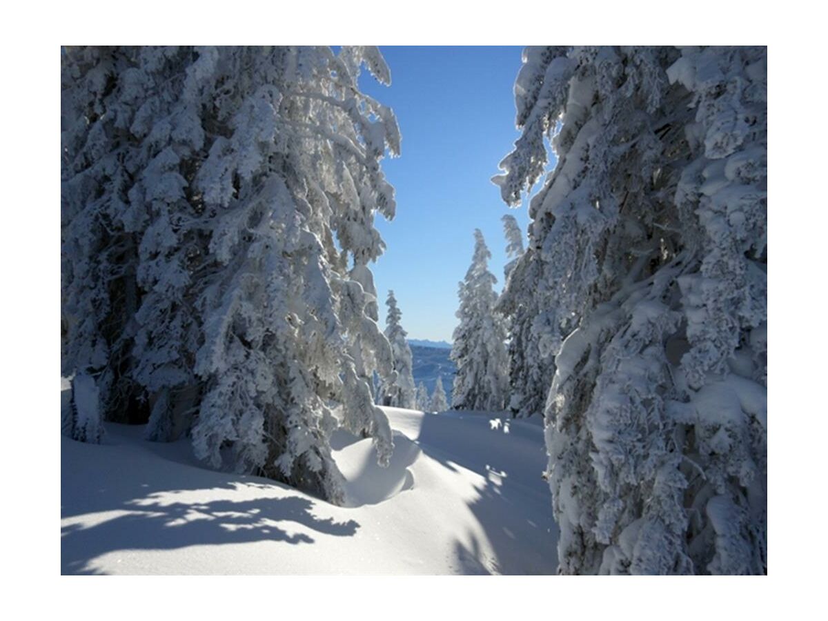 Apartment Apartment I /1Schlafraum/Dusche 2-3 Pers. - Outdoor photo 4