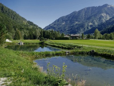 Apartment Apartment I /1Schlafraum/Dusche 2-3 Pers. - Outdoor photo 13