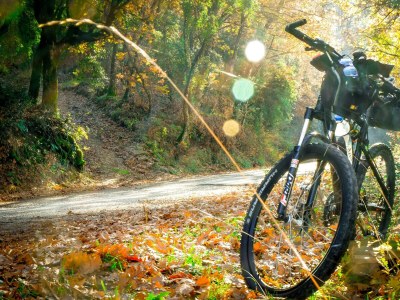 Holiday room Familien - u. Mehrbettzimmer mit Dusche f. 4 Pers. - Outdoor photo 19