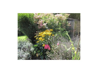 Apartment Appartement Hohl Nr. 3 - Outdoor photo 44