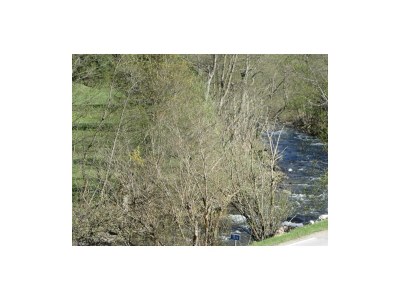 Apartment Appartement Hohl Nr. 3 - Outdoor photo 53