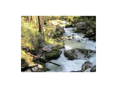 Apartment Appartement Hohl Nr. 5 - Outdoor photo 49