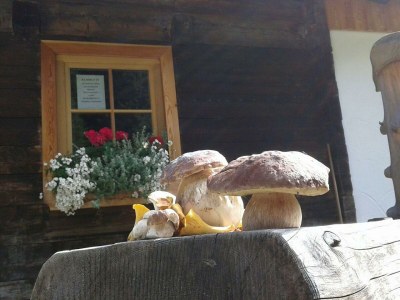 Apartment Hütte, Bad, WC, 4 oder mehr Schlafräume - Outdoor photo 11