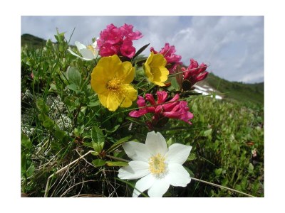 Holiday room Familienzimmer mit Dusche, WC u.  Balkon 2-4 Pers. - Outdoor photo 14