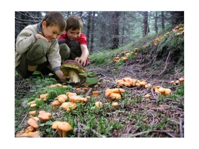 Holiday room Familienzimmer mit Dusche, WC u.  Balkon 2-4 Pers. - Outdoor photo 15