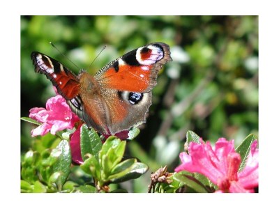 Apartment Familienzimmer mit Küchenblock - Outdoor photo 14