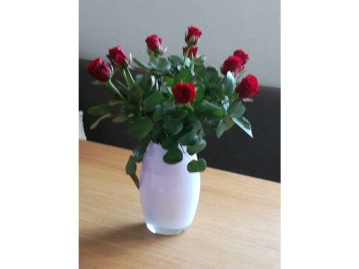 Apartment Familienzimmer mit Küchenblock - Outdoor photo 43